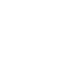 OXID-300x296