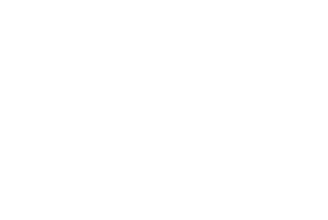 pointernationl-300x202